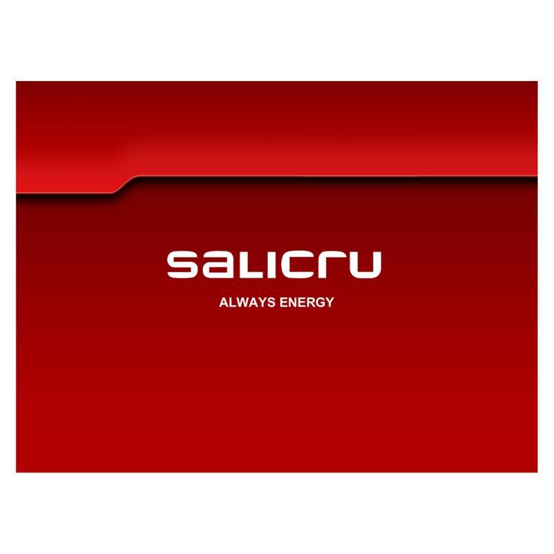 BATERIA UPS SALICRU 7AH/12V
